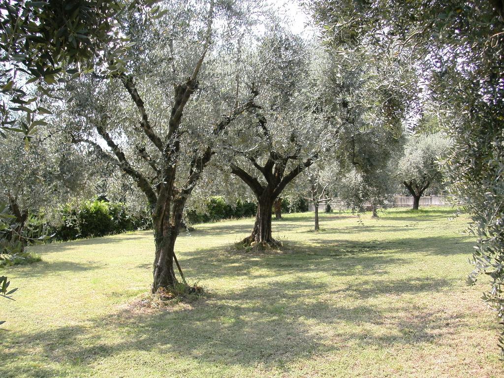 B&B Agli Ulivi Manerba del Garda Kültér fotó