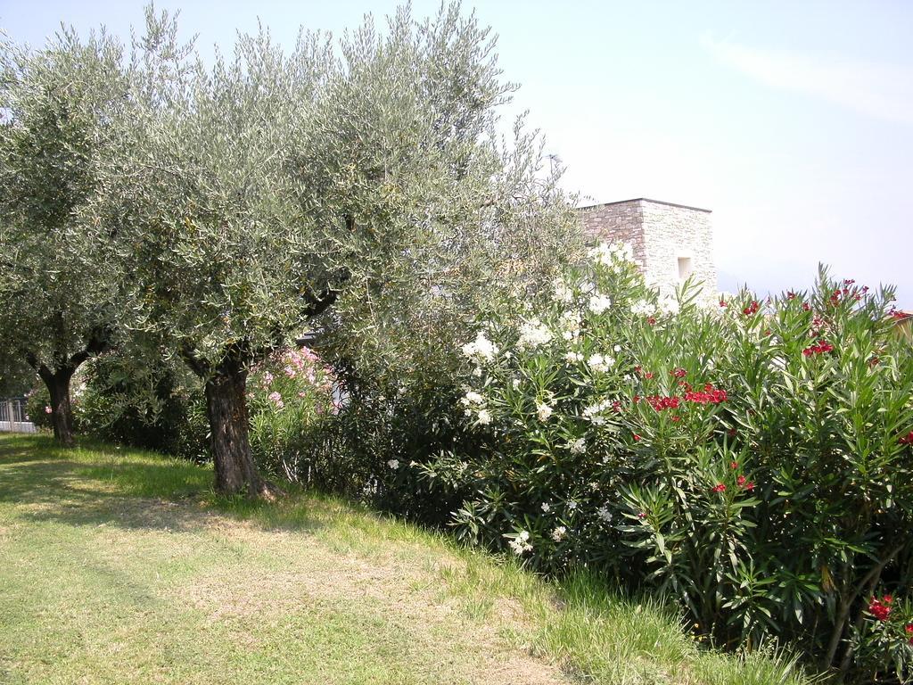 B&B Agli Ulivi Manerba del Garda Kültér fotó